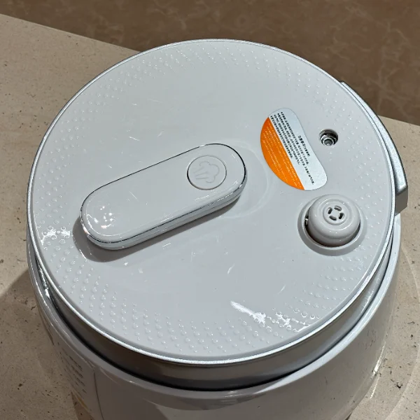 electric pressure cooker for everyday use