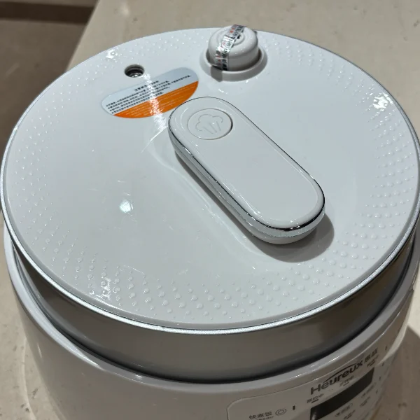 electric pressure cooker home use